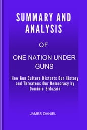 SUMMARY OF One Nation Under Guns