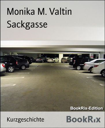 Sackgasse - Monika M. Valtin