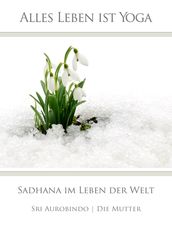 Sadhana im Leben der Welt