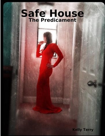 Safe House: The Predicament - Kelly Terry