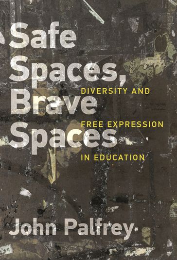 Safe Spaces, Brave Spaces - John Palfrey