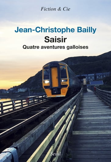 Saisir - Quatre aventures galloises - Jean-Christophe Bailly