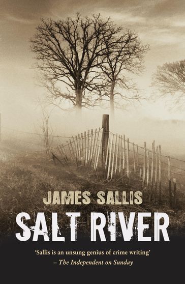 Salt River - James Sallis