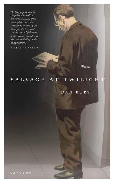 Salvage at Twilight - Dan Burt