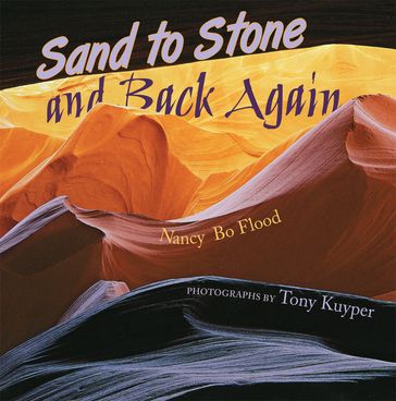 Sand to Stone - Nancy Bo Flood
