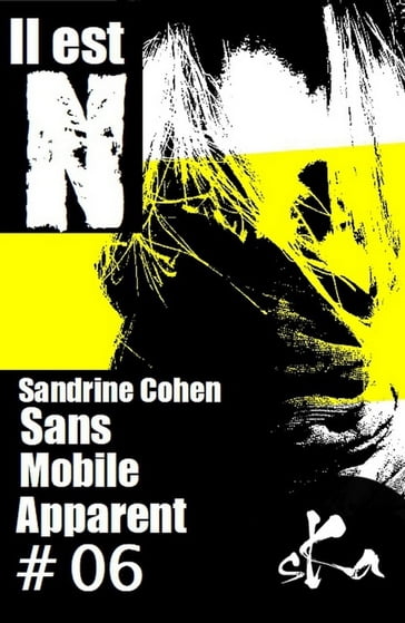 Sans mobile apparent # 6 - Sandrine Cohen