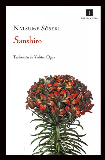 Sanshiro - Soseki Natsume - Yoshino Ogata