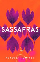 Sassafras