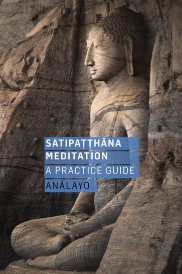 Satipatthana Meditation (enhanced and non enhanced) - Analayo