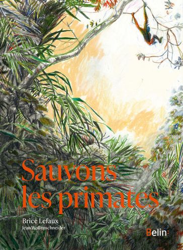 Sauvons les primates - Brice Lefaux - Jean Wollenschneider