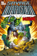 Savage dragon. 28: La guerra di Dragon