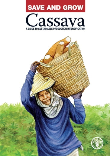 Save and Grow: Cassava - Food and Agriculture Organization of the United Nations