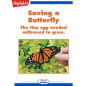 Saving a Butterfly