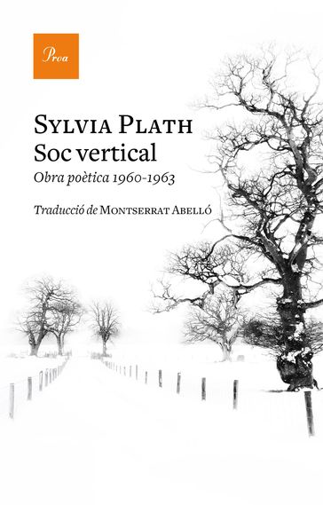 Sóc vertical - Sylvia Plath