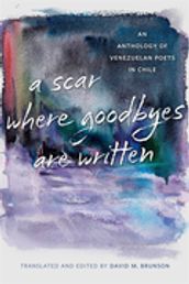 A Scar Where Goodbyes Are Written