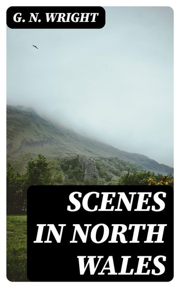 Scenes in North Wales - G. N. Wright
