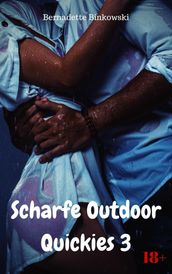 Scharfe Outdoor Quickies 3