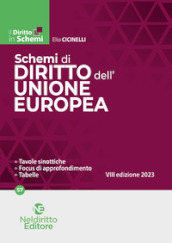 Schemi di diritto dell Unione Europea