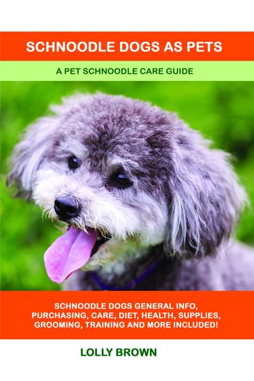 Schnoodle Dogs as Pets. A Pet Schnoodle Care Guide - Lolly Brown