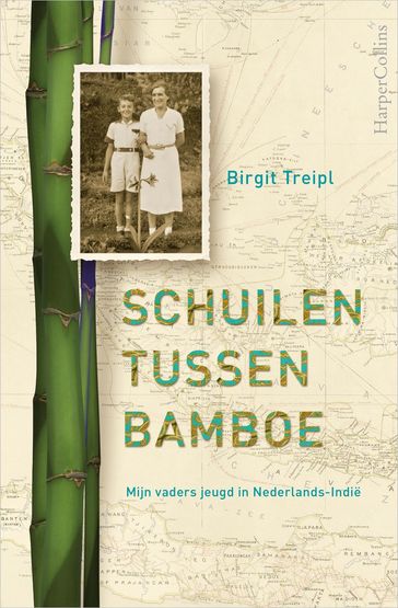 Schuilen tussen bamboe - Birgit Treipl