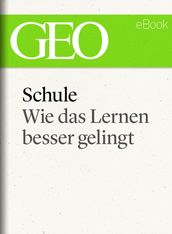 Schule: Wie das Lernen besser gelingt (GEO eBook)