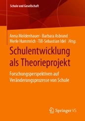 Schulentwicklung als Theorieprojekt