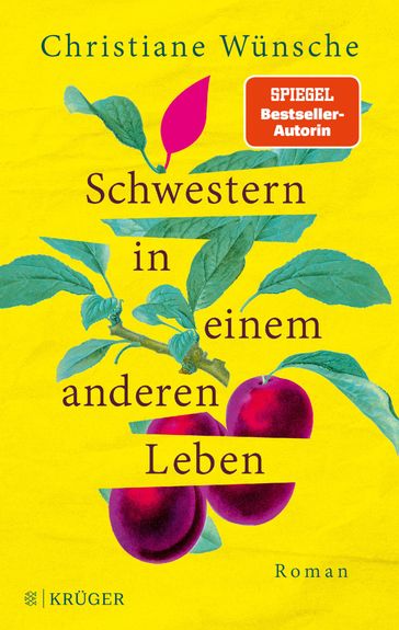 Schwestern in einem anderen Leben - Christiane Wunsche