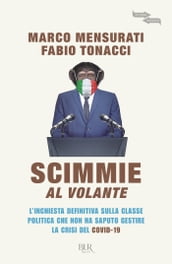 Scimmie al volante