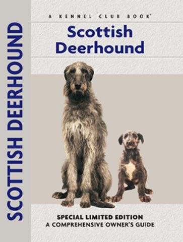 Scottish Deerhound - Juliette Cunliffe