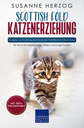 Scottish Fold Katzenerziehung - Ratgeber zur Erziehung einer Katze der Schottischen Faltohr Rasse