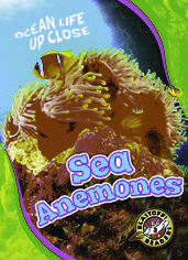 Sea Anemones