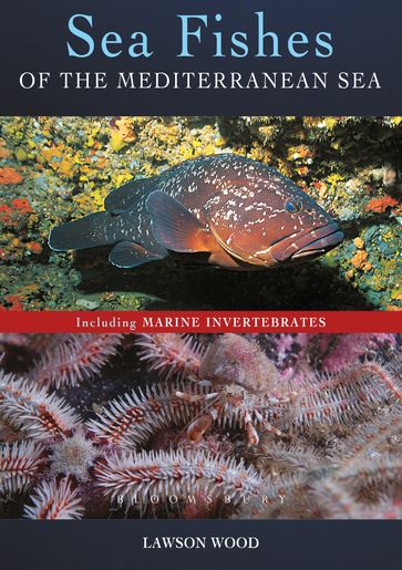 Sea Fishes Of The Mediterranean Including Marine Invertebrates - Lawson Wood