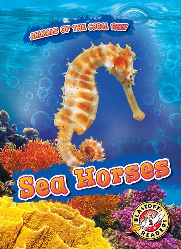 Sea Horses - Kate Moening