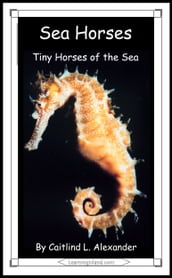 Sea Horses: Tiny Horses of the Sea