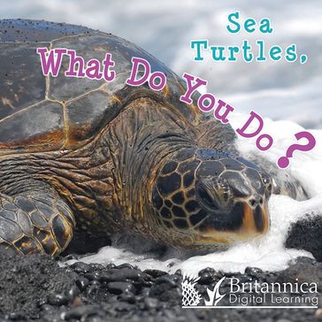 Sea Turtles, What Do You Do? - Holly Karapetkova