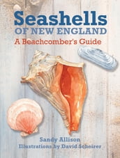 Seashells of New England