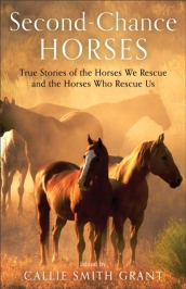Second-Chance Horses - True Stories of the Horses We Rescue and the Horses Who Rescue Us