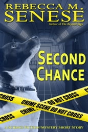 Second Chance