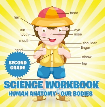 Second Grade Science Workbook: Human Anatomy - Our Bodies - Baby Professor