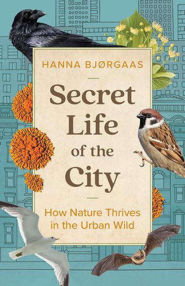 Secret Life of the City - Hanna Hagen Bjørgaas