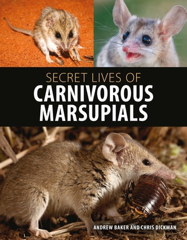 Secret Lives of Carnivorous Marsupials - Andrew Baker - Chris Dickman