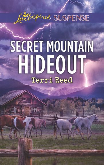 Secret Mountain Hideout (Mills & Boon Love Inspired Suspense) - Terri Reed