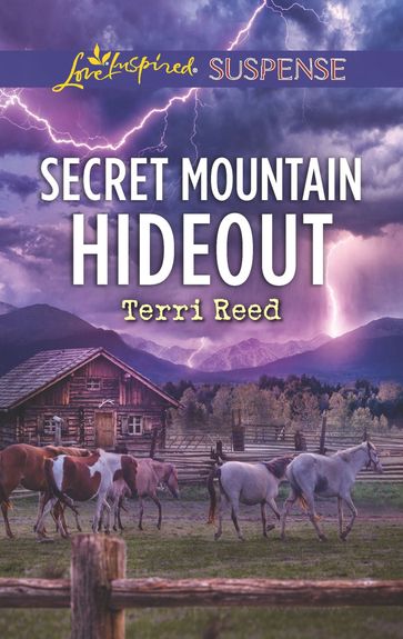 Secret Mountain Hideout - Terri Reed