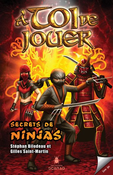 Secrets de ninjas - Gilles Saint-Martin - Stéphan Bilodeau