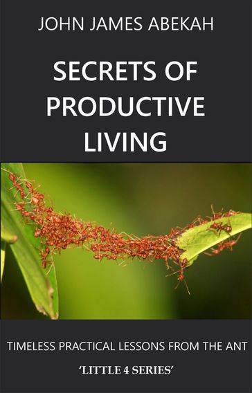 Secrets of Productive Living - John James Abekah