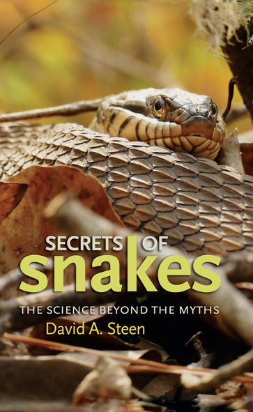 Secrets of Snakes - David A. Steen