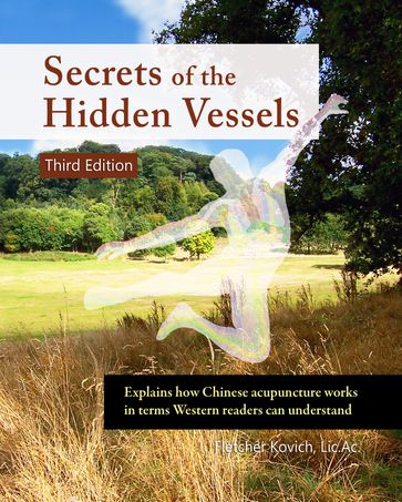 Secrets of the Hidden Vessels - Fletcher Kovich