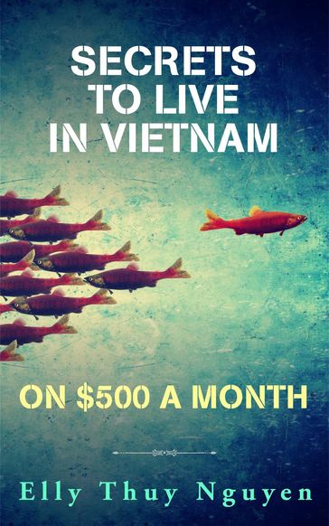 Secrets to Live in Vietnam on $500 a Month - Elly Thuy Nguyen