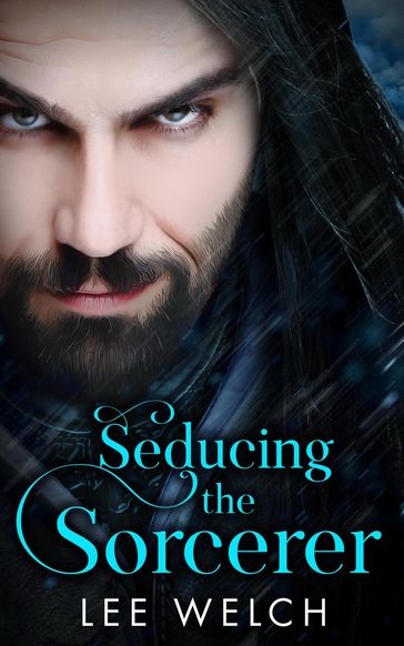 Seducing the Sorcerer - Lee Welch