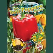 See Bell Peppers Grow